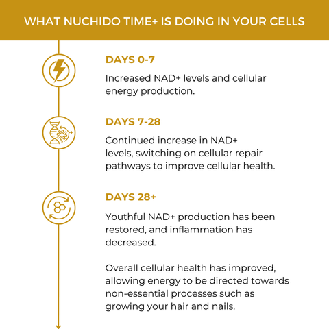 Nuchido TIME+ — Clinically Proven NAD+ Booster ( 90 day supply)