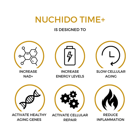 Nuchido TIME+ — Clinically Proven NAD+ Booster ( 90 day supply)
